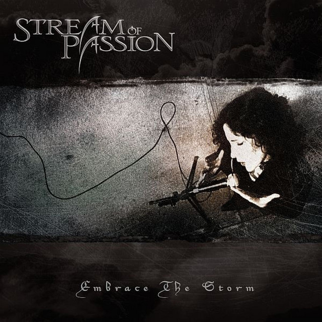 Embrace the Storm album cover