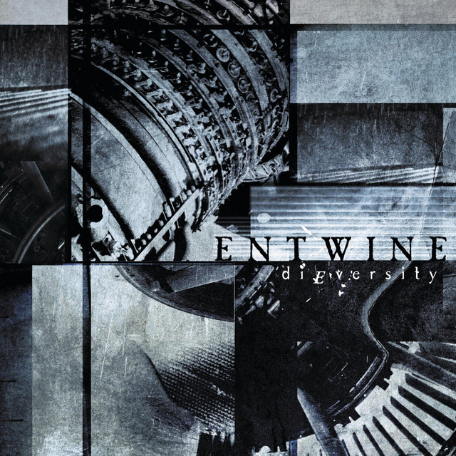 Dieversity album cover