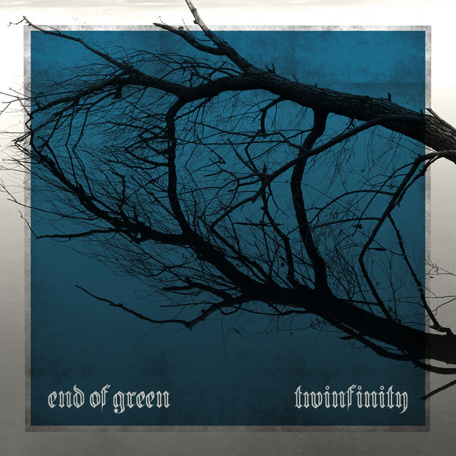 Twinfinity album cover
