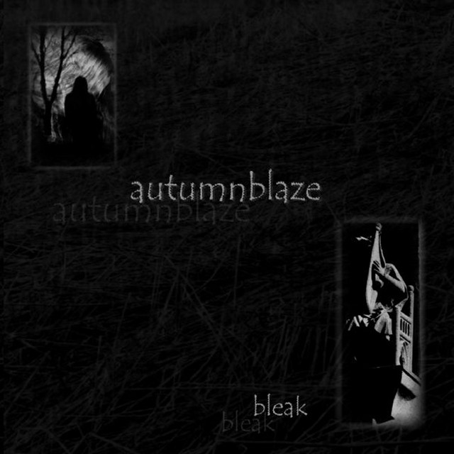 Bleak album cover