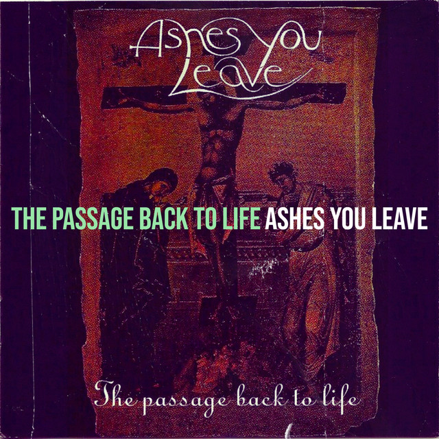 The Passage Back to Life album cover