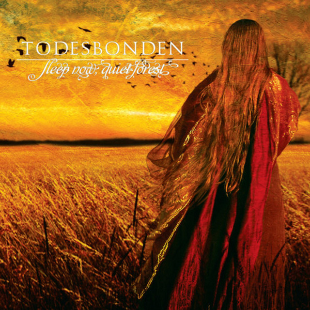 Sleep Now, Quiet Forest album cover