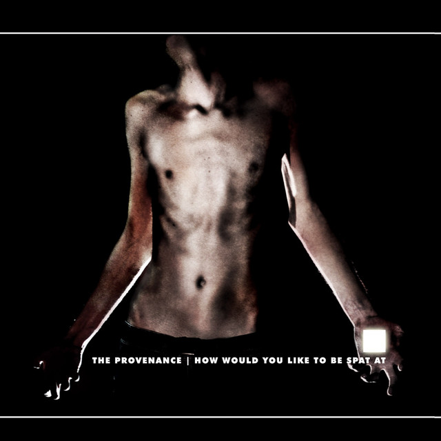 How Would You Like to Be Spat At album cover