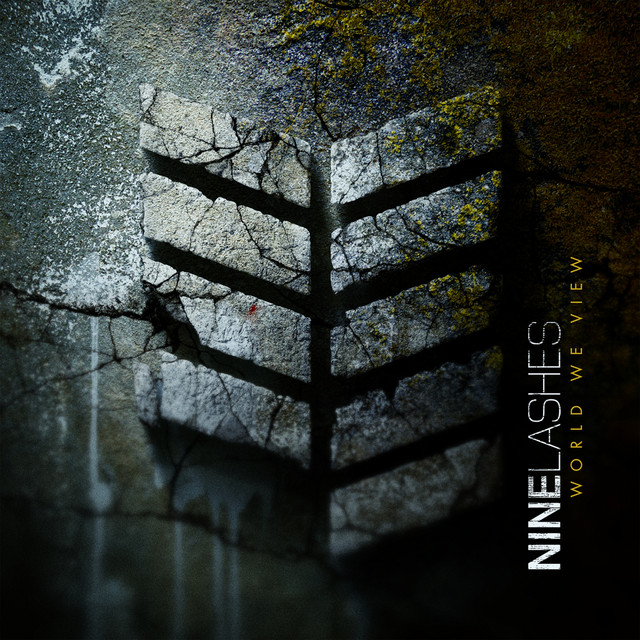 World We View album cover
