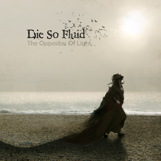 The Opposites of Light album cover