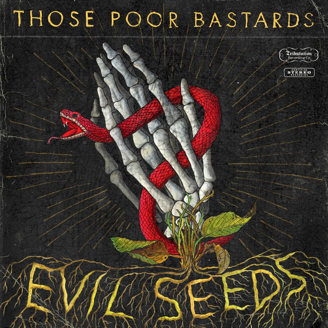 Evil Seeds album cover