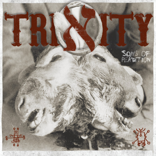 Trinity album cover