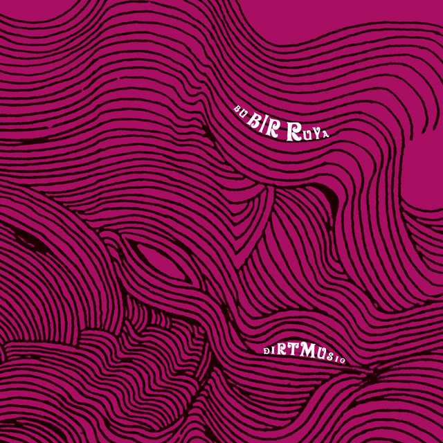 Bu Bir Ruya album cover