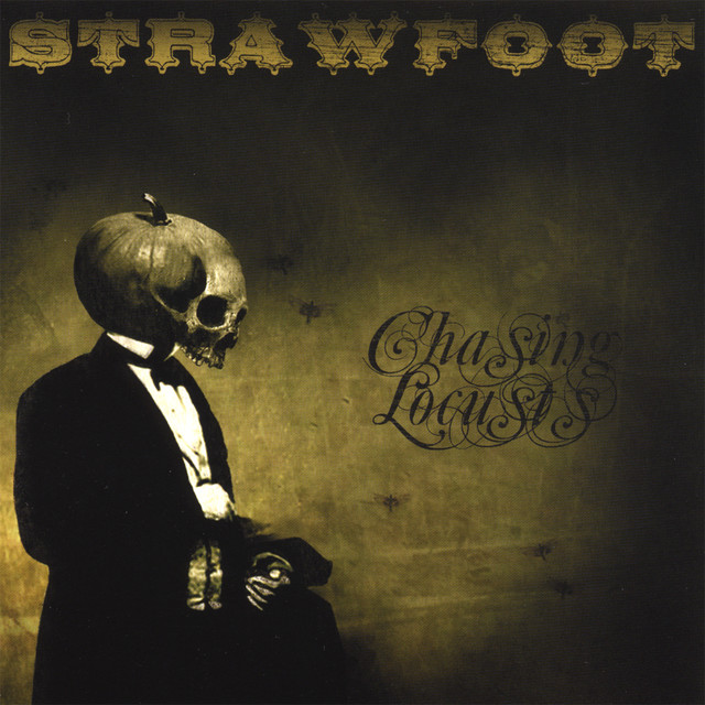 Chasing Locusts album cover