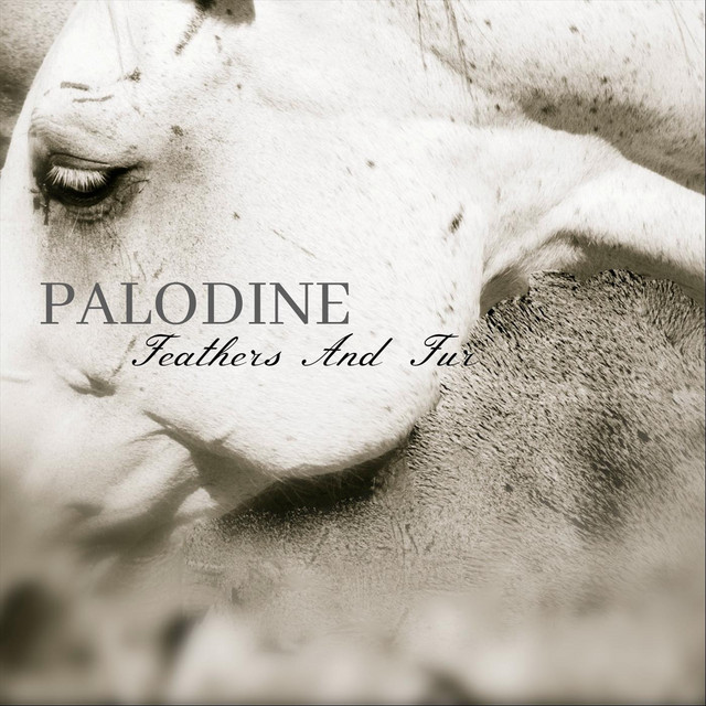 Feathers and Fur album cover