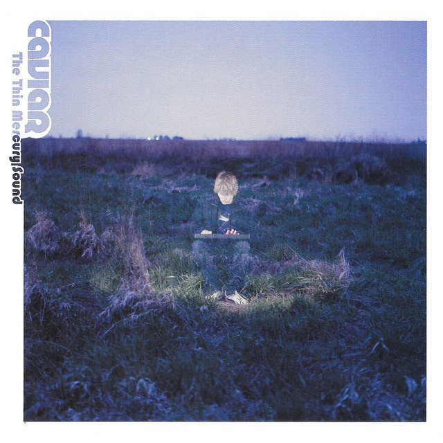 The Thin Mercury Sound album cover