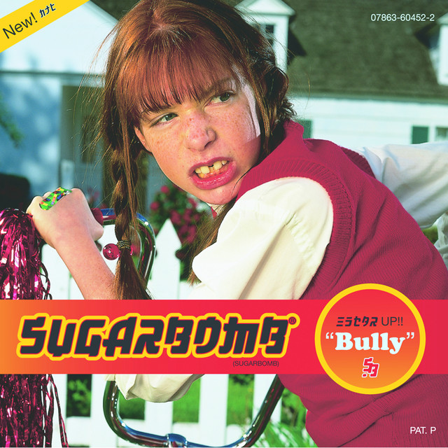 Bully album cover