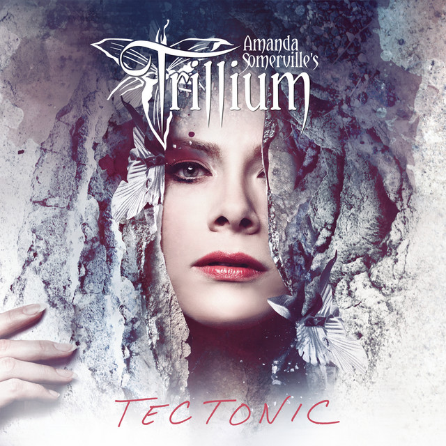 Tectonic album cover