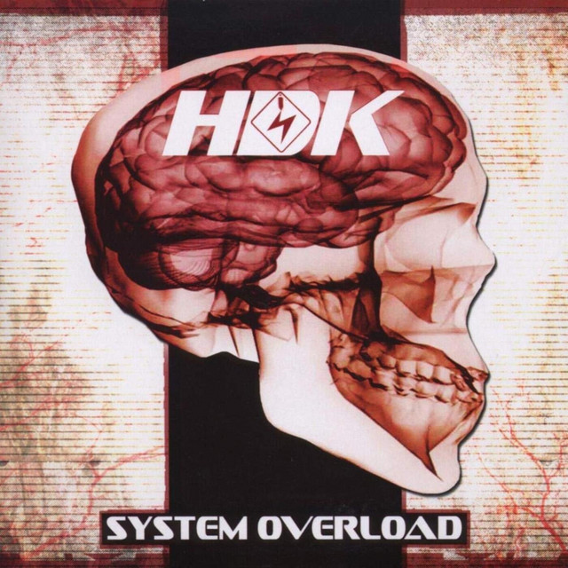 System Overload album cover