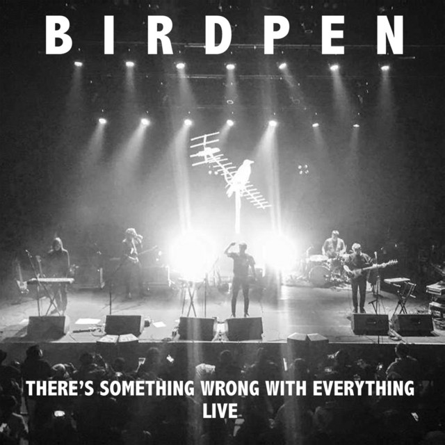 There's Something Wrong With Everything Live album cover