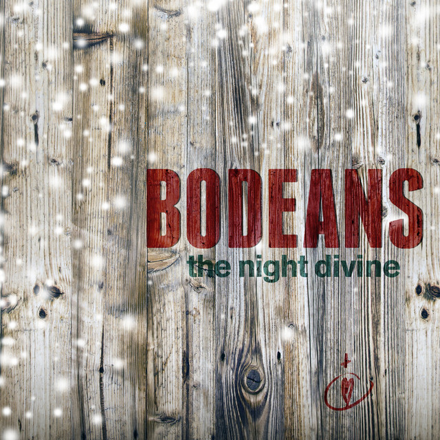The Night Divine album cover