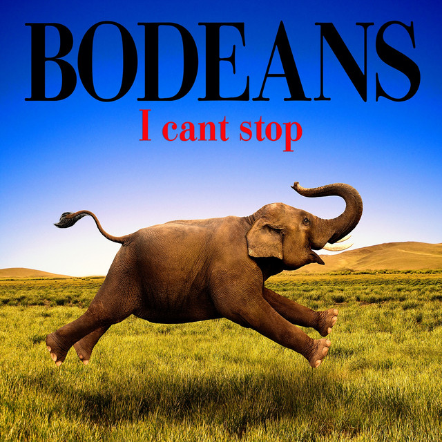 I Can't Stop album cover