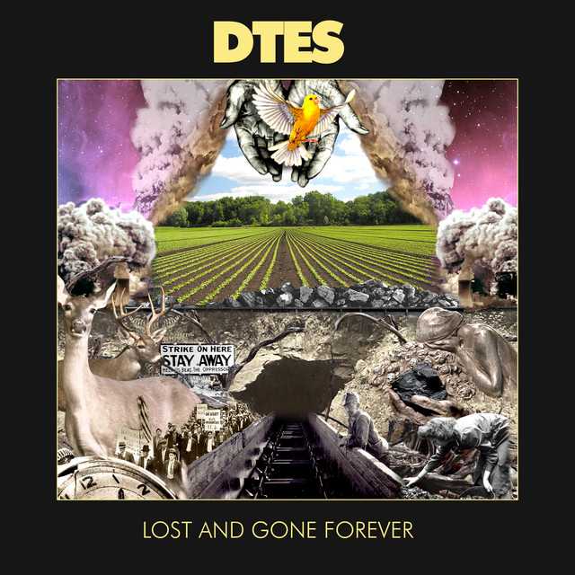 Lost and Gone Forever album cover