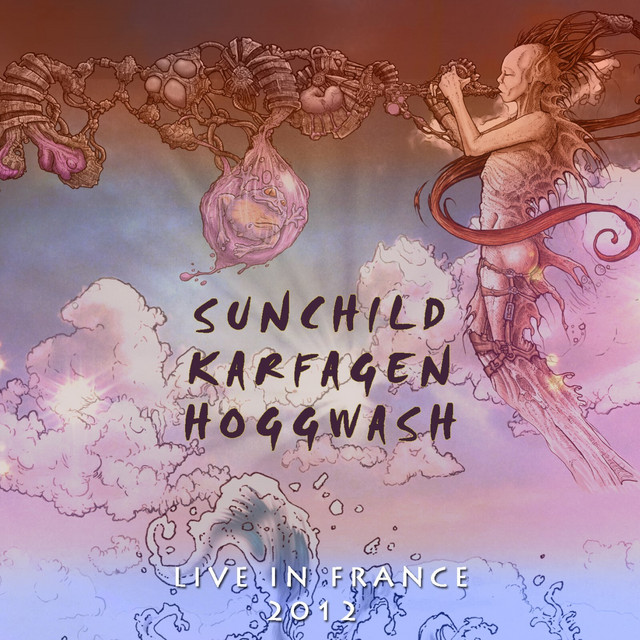 Live in France 2012 album cover