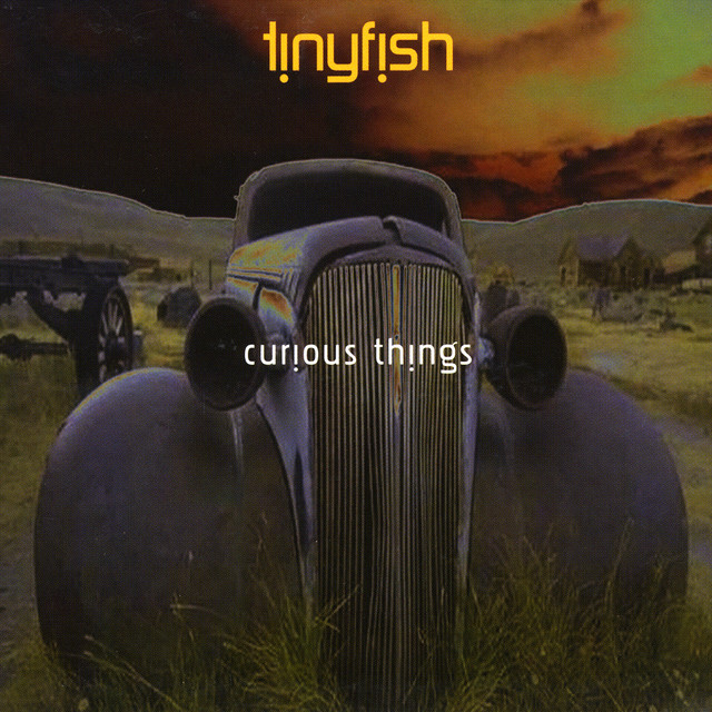 Curious Things album cover