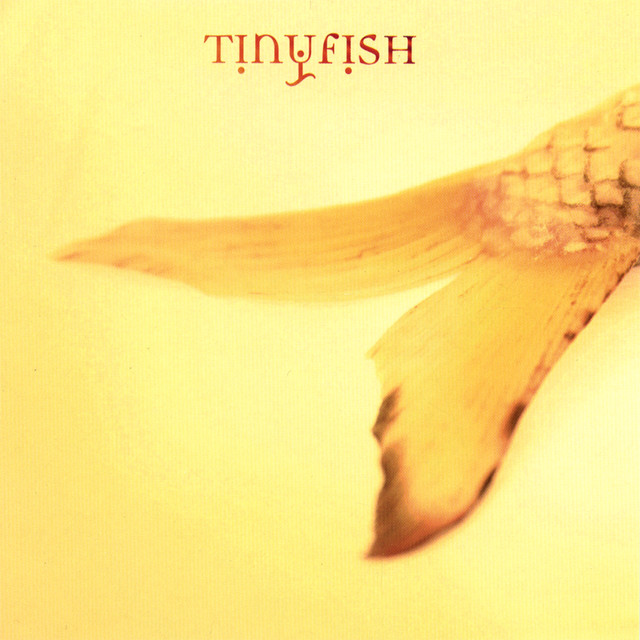 Tinyfish album cover