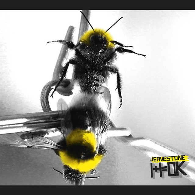 1+1=ok album cover