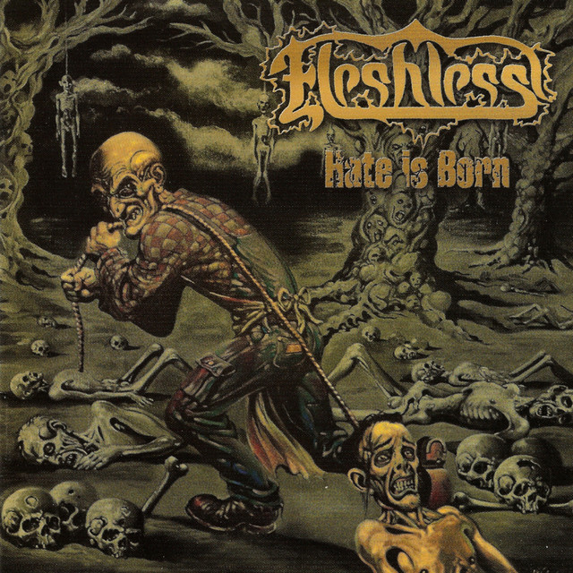 Hate Is Born album cover
