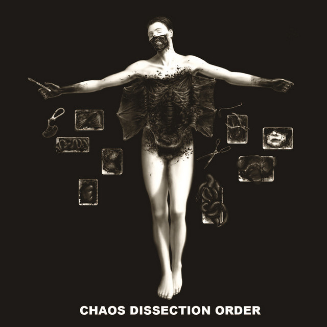 Chaos Dissection Order album cover