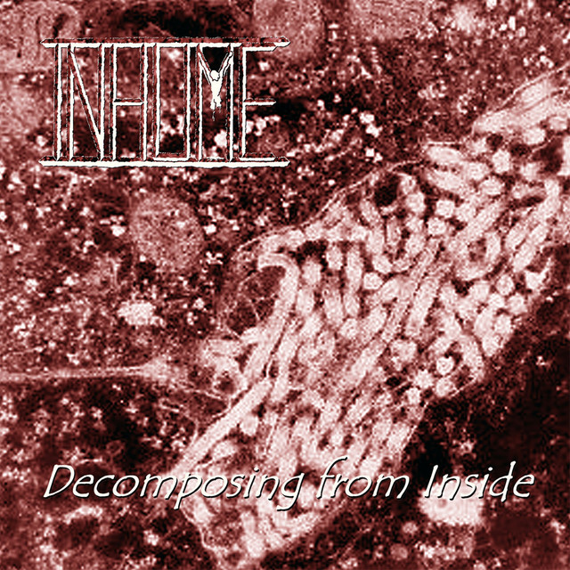Decomposing from Inside album cover