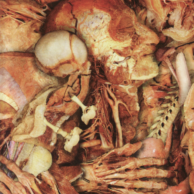 Olidous Operettas album cover