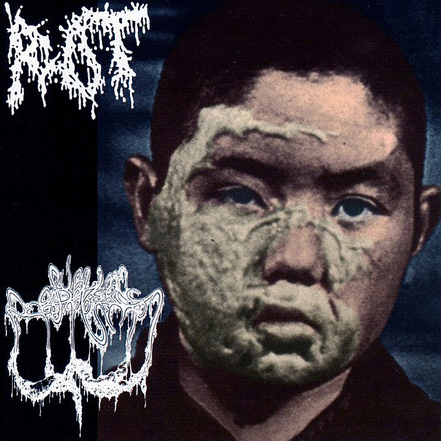 Split with Rot album cover