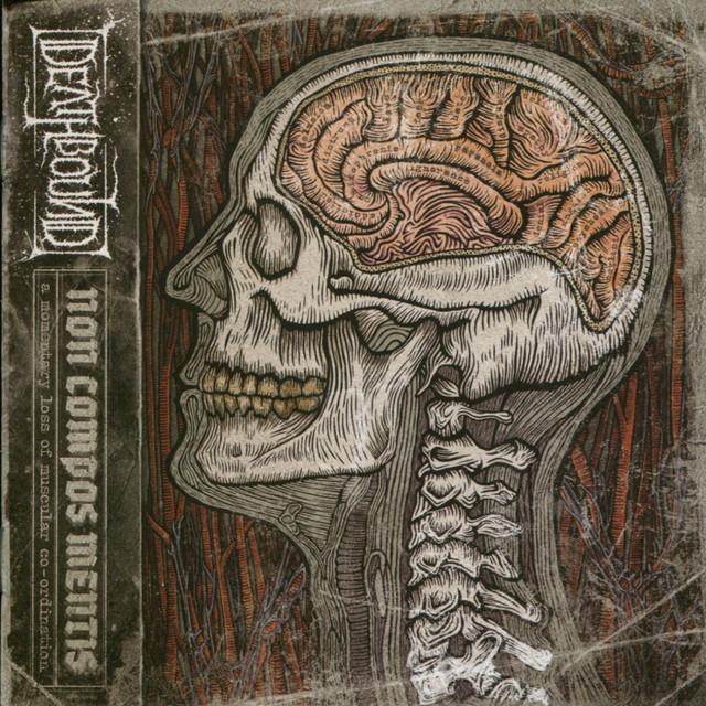 Non Compos Mentis album cover
