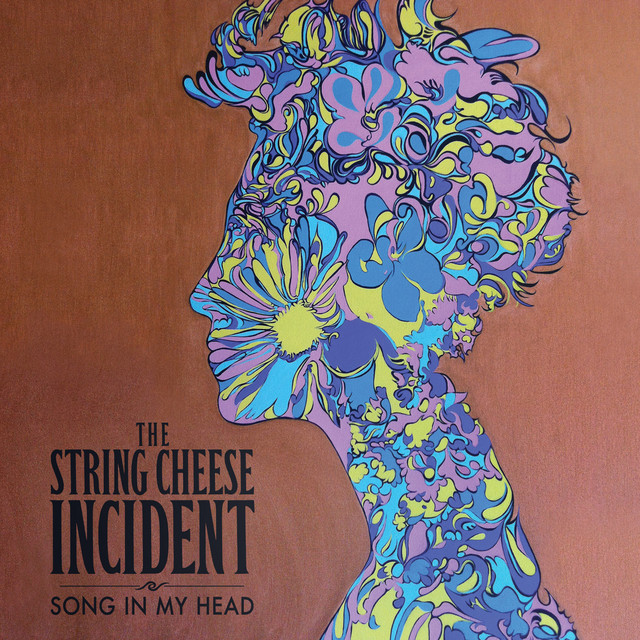 Song in My Head album cover