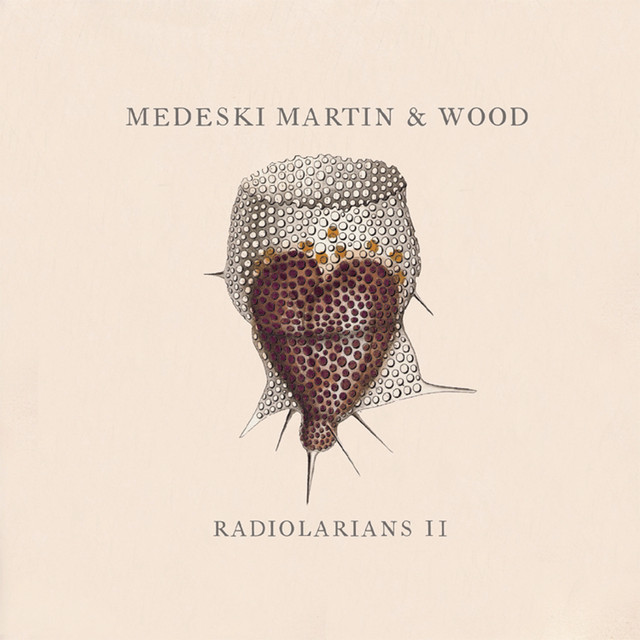 Radiolarians II