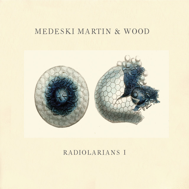 Radiolarians 1 album cover