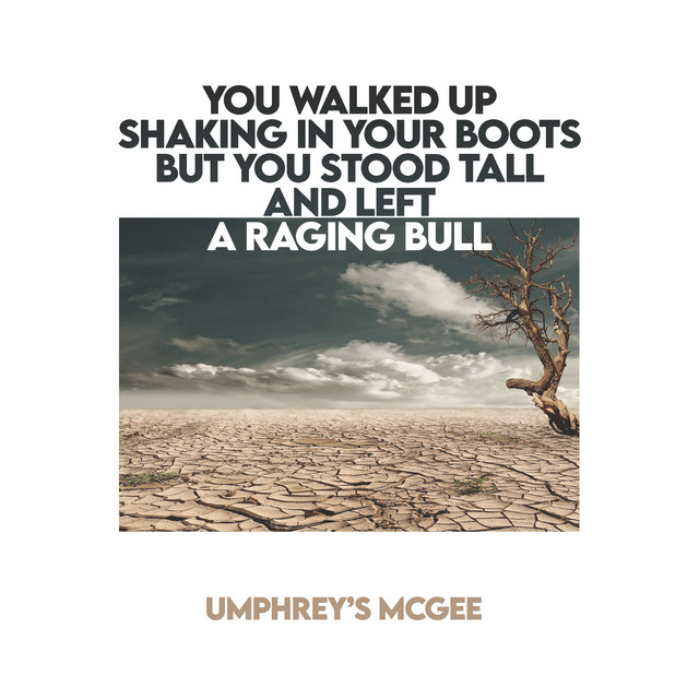 YOU WALKED UP SHAKING IN YOUR BOOTS BUT YOU STOOD TALL AND LEFT A RAGING BULL album cover