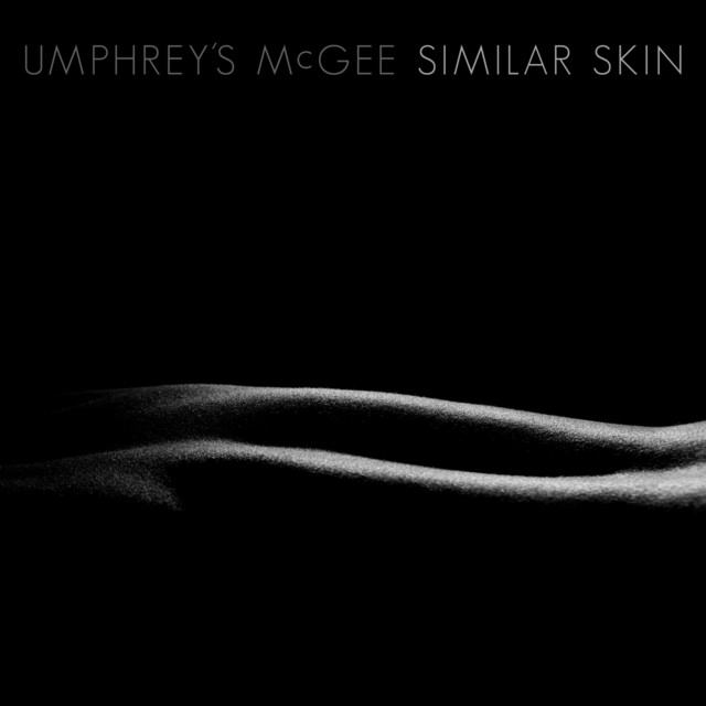 Similar Skin album cover