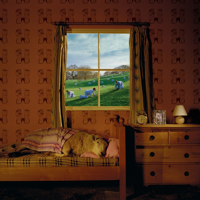 Safety in Numbers album cover