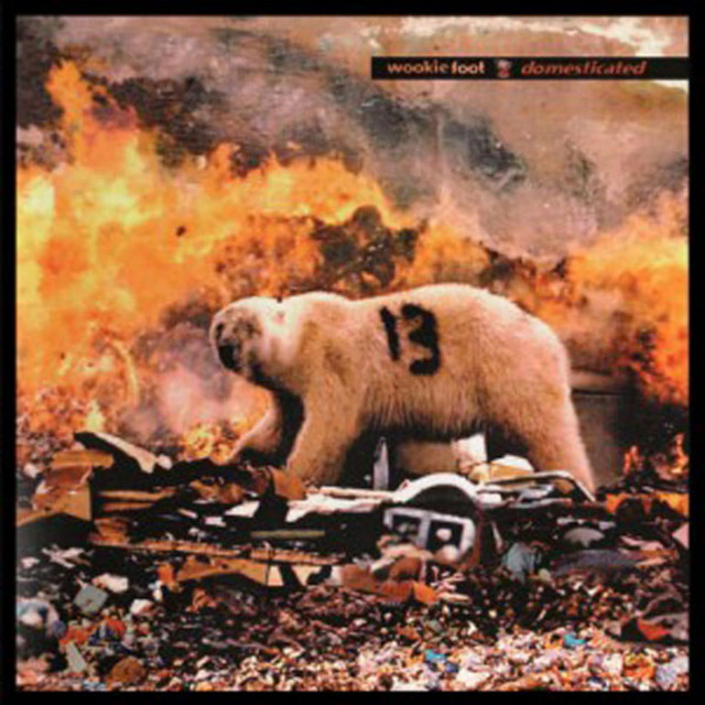 Domesticated: The Story Of Nothing And The Monkey album cover