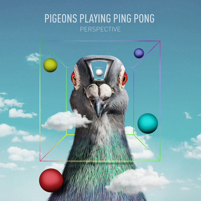 Perspective album cover