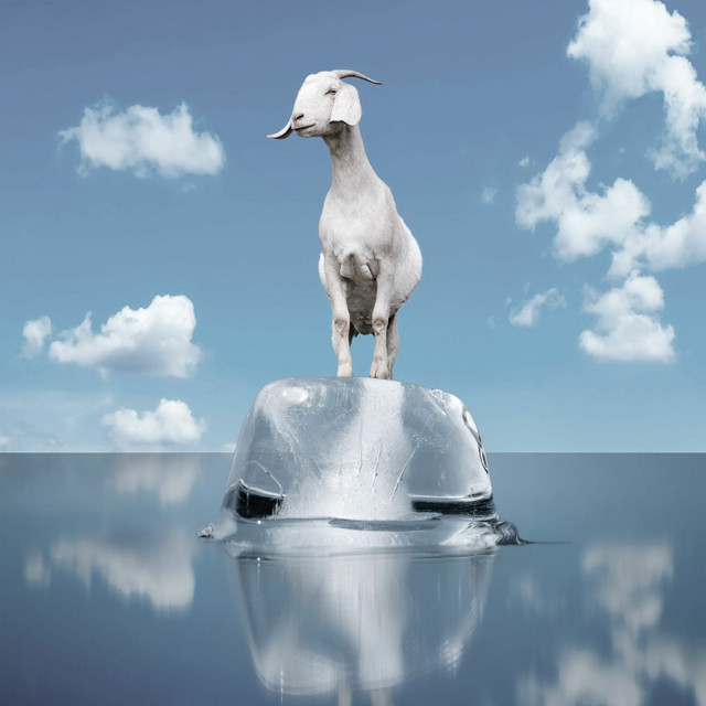 Perpetual Groove album cover