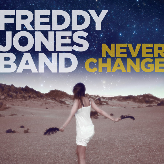 Never Change album cover