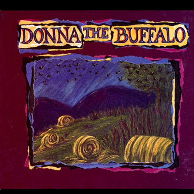 Donna The Buffalo album cover