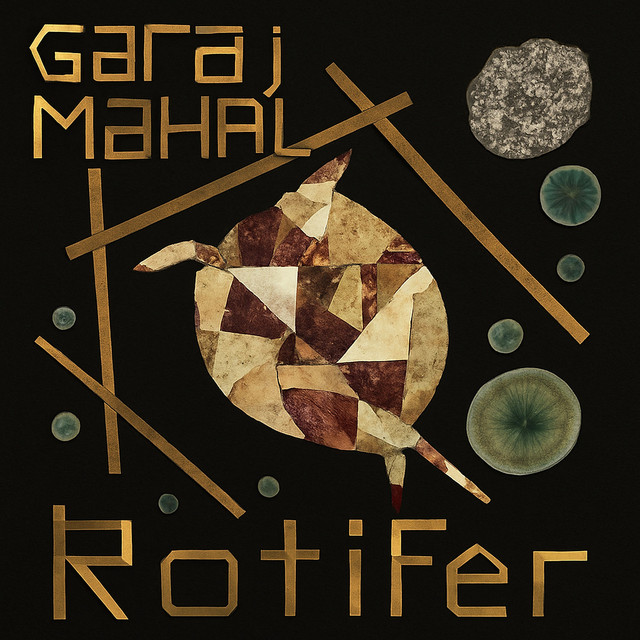Rotifer album cover