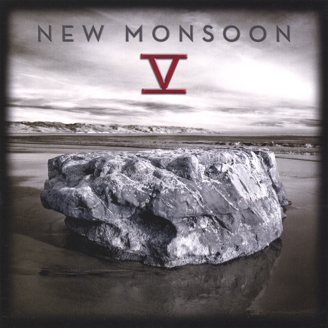 V album cover