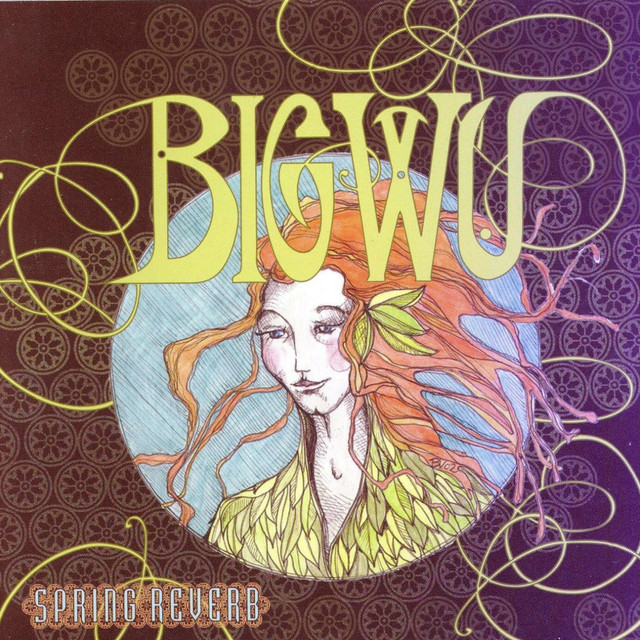 Spring Reverb album cover