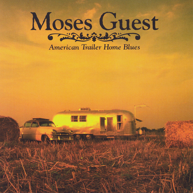American Trailer Home Blues album cover