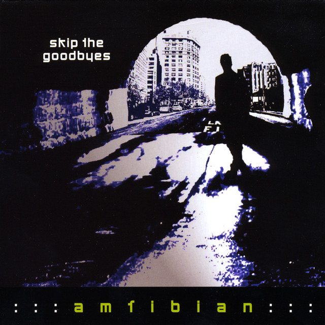 Skip the Goodbyes album cover