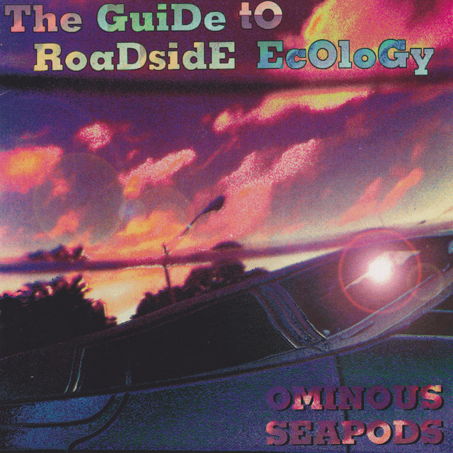 A Guide to Roadside Ecology album cover