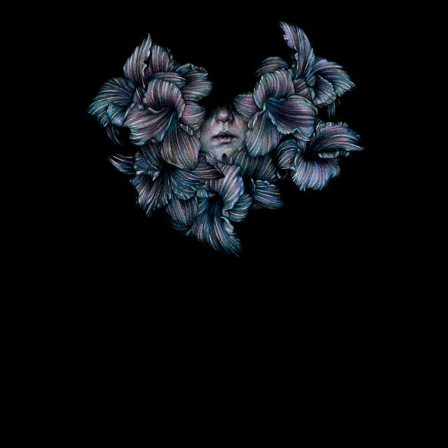 DIVISI album cover